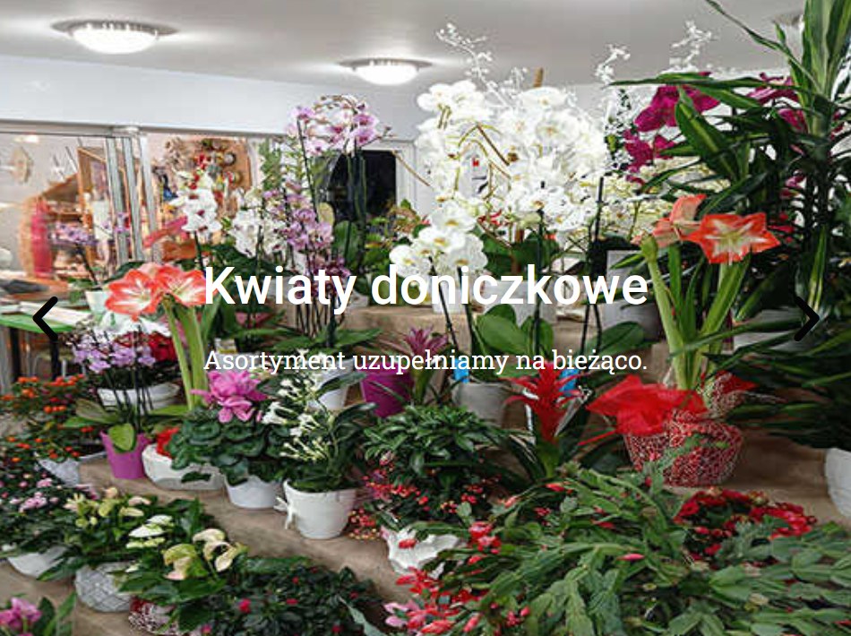 Kwiaty doniczkowe