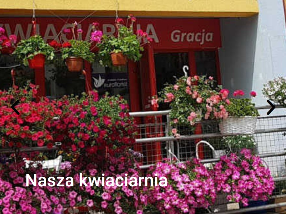Nasza kwiaciarnia